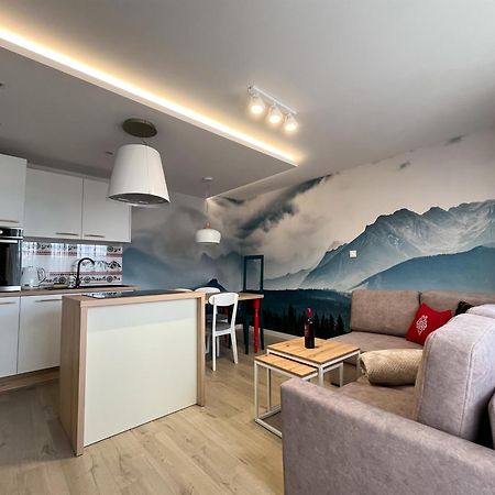 Apartamenty Baran I Owca ザコパネ エクステリア 写真