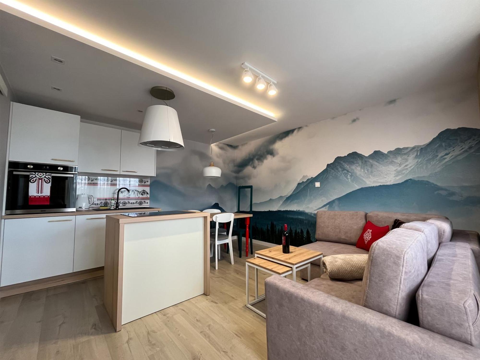 Apartamenty Baran I Owca ザコパネ エクステリア 写真